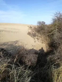 De Panne (België)